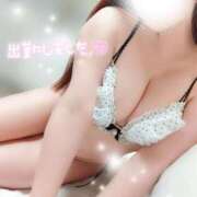 ヒメ日記 2026/03/13 19:06 投稿 ことね マダムの品格