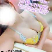 ヒメ日記 2026/03/16 19:50 投稿 ことね マダムの品格