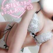 ヒメ日記 2026/03/25 05:13 投稿 ことね マダムの品格