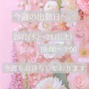 ヒメ日記 2026/03/25 17:01 投稿 ことね マダムの品格