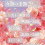 ヒメ日記 2026/04/06 17:03 投稿 ことね マダムの品格