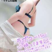 ヒメ日記 2026/04/08 21:34 投稿 ことね マダムの品格