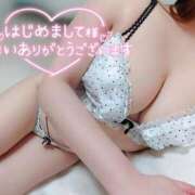 ヒメ日記 2026/04/14 05:12 投稿 ことね マダムの品格