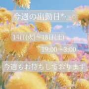 ヒメ日記 2026/04/14 17:01 投稿 ことね マダムの品格