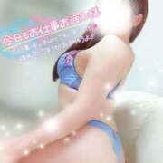 ヒメ日記 2026/04/16 21:41 投稿 ことね マダムの品格