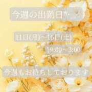 ヒメ日記 2026/05/11 17:30 投稿 ことね マダムの品格