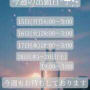 ヒメ日記 2026/06/15 14:30 投稿 ことね マダムの品格