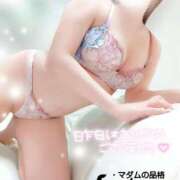 ヒメ日記 2026/06/17 16:30 投稿 ことね マダムの品格