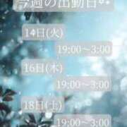ヒメ日記 2026/07/14 17:30 投稿 ことね マダムの品格
