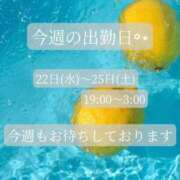 ヒメ日記 2026/07/22 17:30 投稿 ことね マダムの品格