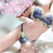 ヒメ日記 2026/08/19 05:34 投稿 ことね マダムの品格