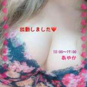 ヒメ日記 2025/05/09 11:41 投稿 あやか 60分10,000円 横浜関内2度ヌキ