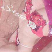 ヒメ日記 2024/12/22 05:53 投稿 セレナ ルパン