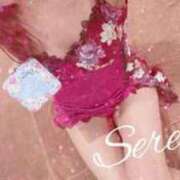 ヒメ日記 2025/03/14 16:41 投稿 セレナ ルパン