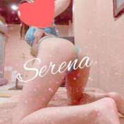 ヒメ日記 2025/06/24 10:28 投稿 セレナ ルパン