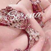 ヒメ日記 2025/07/24 22:21 投稿 セレナ ルパン