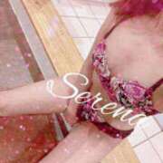 ヒメ日記 2025/10/20 10:29 投稿 セレナ ルパン