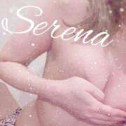 ヒメ日記 2025/11/28 05:59 投稿 セレナ ルパン