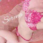 ヒメ日記 2025/12/01 15:08 投稿 セレナ ルパン