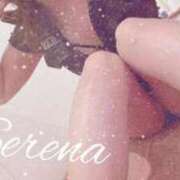 ヒメ日記 2025/12/05 10:48 投稿 セレナ ルパン