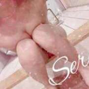 ヒメ日記 2026/04/13 05:52 投稿 セレナ ルパン