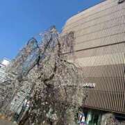 ヒメ日記 2025/03/27 23:30 投稿 ほたる ぷるるん小町日本橋店