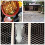 ヒメ日記 2024/12/20 14:39 投稿 しらゆり 奥鉄オクテツ大阪