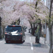 ヒメ日記 2025/04/03 09:17 投稿 しらゆり 奥鉄オクテツ大阪