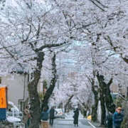 ヒメ日記 2025/04/03 20:37 投稿 しらゆり 奥鉄オクテツ大阪