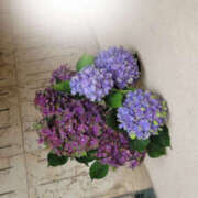 ヒメ日記 2025/05/19 16:54 投稿 しらゆり 奥鉄オクテツ大阪