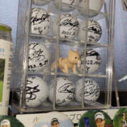 ヒメ日記 2025/05/29 19:56 投稿 しらゆり 奥鉄オクテツ大阪