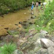 ヒメ日記 2025/06/21 13:13 投稿 しらゆり 奥鉄オクテツ大阪