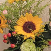 ヒメ日記 2025/07/31 11:52 投稿 しらゆり 奥鉄オクテツ大阪