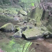 ヒメ日記 2025/08/25 15:46 投稿 しらゆり 奥鉄オクテツ大阪