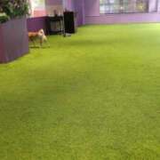 ヒメ日記 2025/10/15 10:54 投稿 しらゆり 奥鉄オクテツ大阪