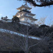 ヒメ日記 2025/12/20 08:10 投稿 しらゆり 奥鉄オクテツ大阪