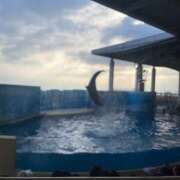 ヒメ日記 2026/04/07 00:12 投稿 さおり 横浜パフパフチェリーパイ