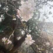 ヒメ日記 2026/03/02 19:52 投稿 めろ 熟女の風俗最終章 町田店