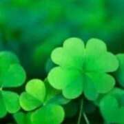 ヒメ日記 2025/02/07 12:03 投稿 えみこ 熟女の風俗最終章 相模原店