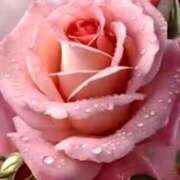 ヒメ日記 2025/03/21 13:02 投稿 えみこ 熟女の風俗最終章 相模原店