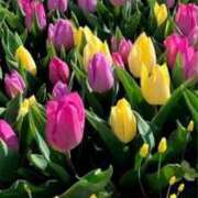 ヒメ日記 2025/04/10 14:31 投稿 えみこ 熟女の風俗最終章 相模原店