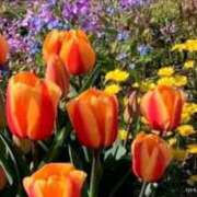 ヒメ日記 2025/04/10 22:21 投稿 えみこ 熟女の風俗最終章 相模原店