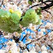 ヒメ日記 2025/04/12 11:32 投稿 えみこ 熟女の風俗最終章 相模原店