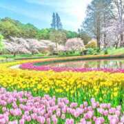 ヒメ日記 2025/04/29 07:46 投稿 えみこ 熟女の風俗最終章 相模原店