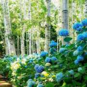 ヒメ日記 2025/07/15 11:12 投稿 えみこ 熟女の風俗最終章 相模原店