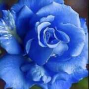 ヒメ日記 2025/07/23 05:10 投稿 えみこ 熟女の風俗最終章 相模原店