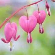 ヒメ日記 2025/07/24 12:59 投稿 えみこ 熟女の風俗最終章 相模原店