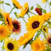 ヒメ日記 2025/07/28 11:10 投稿 えみこ 熟女の風俗最終章 相模原店