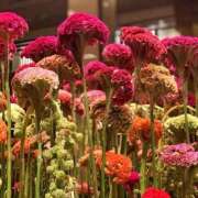 ヒメ日記 2025/08/27 20:27 投稿 えみこ 熟女の風俗最終章 相模原店