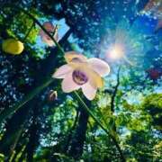 ヒメ日記 2025/09/07 22:50 投稿 えみこ 熟女の風俗最終章 相模原店